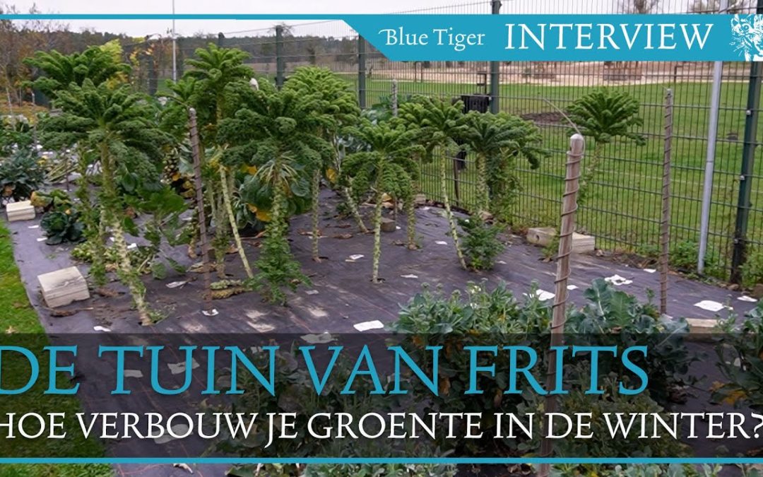 De moestuin van Frits in de winter